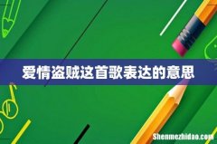 爱情盗贼这首歌表达的意思