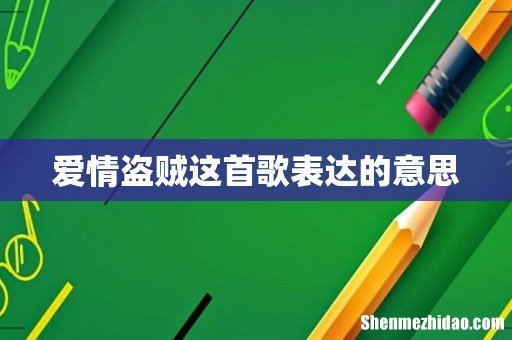 爱情盗贼这首歌表达的意思