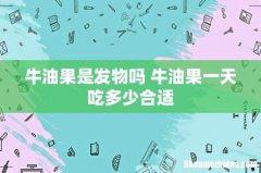牛油果是发物吗 牛油果一天吃多少合适