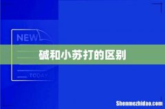 碱和小苏打的区别