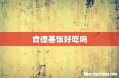肯德基饭好吃吗