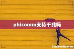 phicomm支持千兆吗