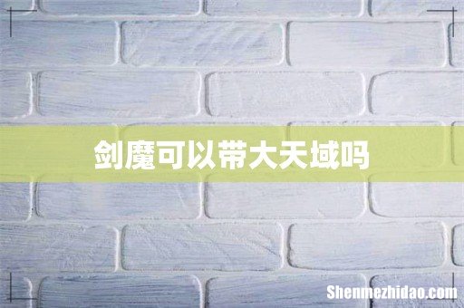 剑魔可以带大天域吗