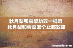 秋月梨和雪梨功效一样吗 秋月梨和雪梨哪个止咳效果好