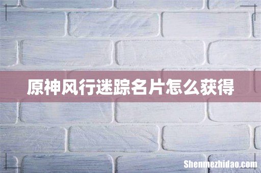 原神风行迷踪名片怎么获得