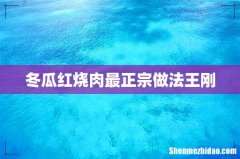 冬瓜红烧肉最正宗做法王刚