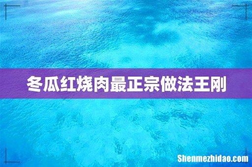 冬瓜红烧肉最正宗做法王刚