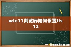 win11浏览器如何设置tls12