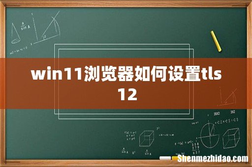 win11浏览器如何设置tls12