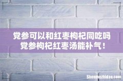 党参可以和红枣枸杞同吃吗 党参枸杞红枣汤能补气！