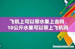 飞机上可以带水果上去吗 10公斤水果可以带上飞机吗