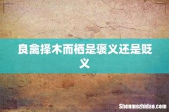 良禽择木而栖是褒义还是贬义