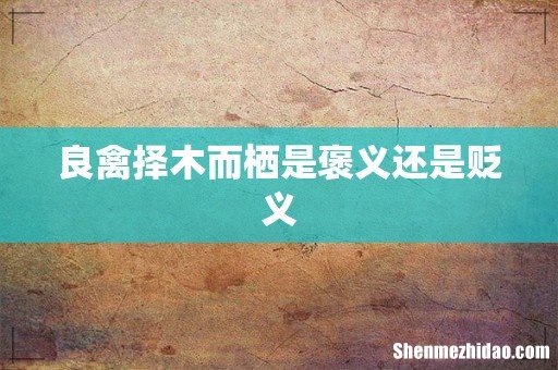 良禽择木而栖是褒义还是贬义