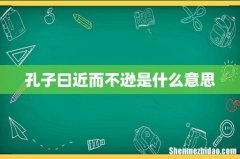 孔子曰近而不逊是什么意思
