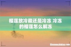 榴莲放冷藏还是冷冻 冷冻的榴莲怎么解冻