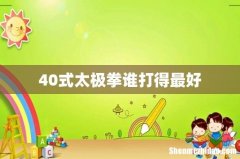 40式太极拳谁打得最好