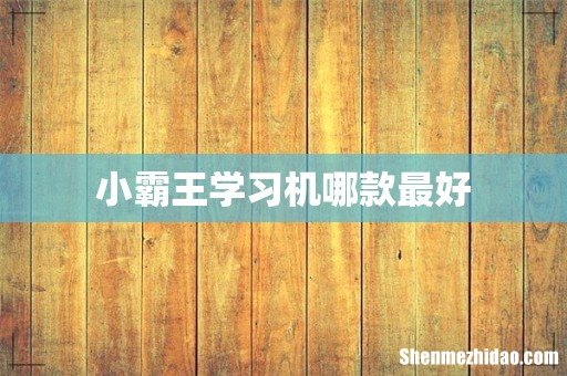 小霸王学习机哪款最好