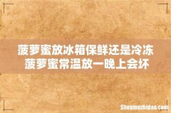 菠萝蜜放冰箱保鲜还是冷冻 菠萝蜜常温放一晚上会坏吗
