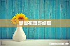 樊梨花哥哥结局