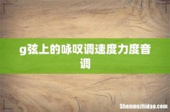 g弦上的咏叹调速度力度音调