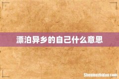 漂泊异乡的自己什么意思