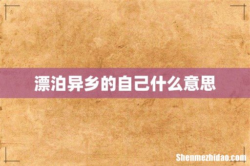 漂泊异乡的自己什么意思