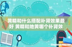 黄精和什么搭配补肾效果最好 黄精和地黄哪个补肾效果好