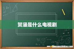 贺涵是什么电视剧