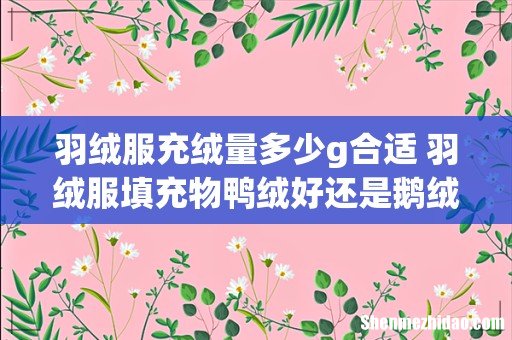 羽绒服充绒量多少g合适 羽绒服填充物鸭绒好还是鹅绒好