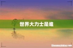 世界大力士是谁