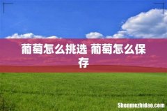 葡萄怎么挑选 葡萄怎么保存