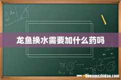 龙鱼换水需要加什么药吗