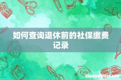 如何查询退休前的社保缴费记录