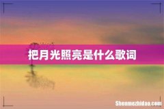 把月光照亮是什么歌词