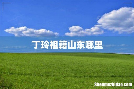 丁玲祖籍山东哪里
