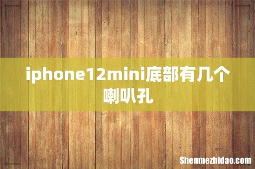 iphone12mini底部有几个喇叭孔