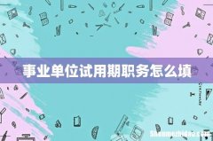 事业单位试用期职务怎么填