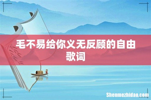 毛不易给你义无反顾的自由歌词