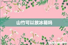 山竹可以放冰箱吗
