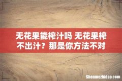 无花果能榨汁吗 无花果榨不出汁？那是你方法不对
