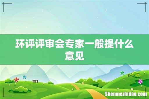 环评评审会专家一般提什么意见