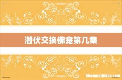 潜伏交换佛龛第几集