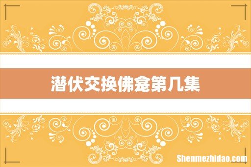 潜伏交换佛龛第几集