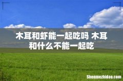 木耳和虾能一起吃吗 木耳和什么不能一起吃