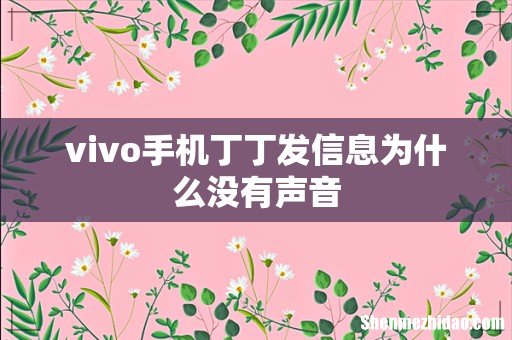 vivo手机丁丁发信息为什么没有声音
