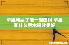 苹果和栗子能一起吃吗 苹果和什么煮水喝效果好