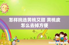 怎样挑选黄桃又甜 黄桃皮怎么去掉方便
