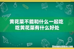 黄花菜不能和什么一起吃 吃黄花菜有什么好处