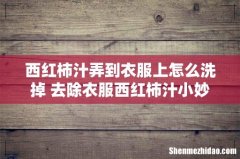 西红柿汁弄到衣服上怎么洗掉 去除衣服西红柿汁小妙招