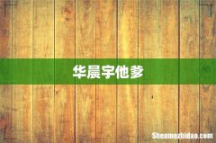 华晨宇他爹